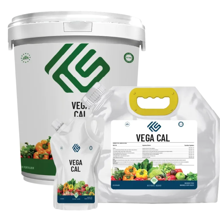 VEGA CAL