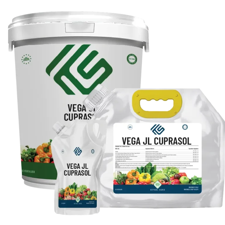 VEGA JL ZN
